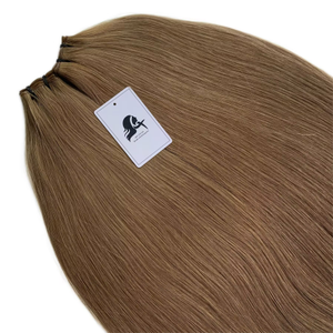 Genius Wefts 120grams 20inches #10