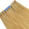 Tape In 50grams 20inches #24