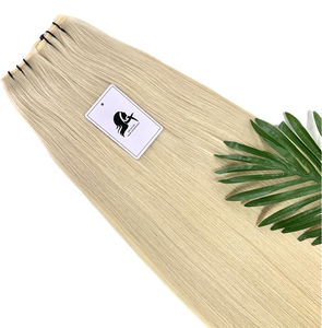 Gennius Wefts 120grams 18inches #60A