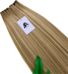 Genius Wefts 60grams 16inches T9-P9/24
